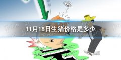 11月18日生猪价格是多少 11.18猪肉价格一览表