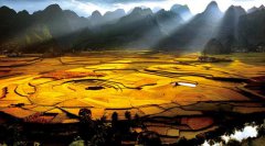 特殊美丽螺旋纹理地貌是什么 蚂蚁新村11月20日答