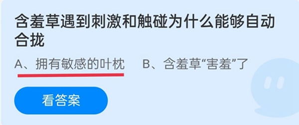 知羞草遇到刺激和触碰为什么能够自动合拢