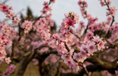 野生动物要保护,群众利益要兼顾