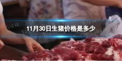 11月30日生猪价格是多少 11.30猪肉价格一览表