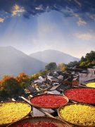 婺源篁岭晒秋是秋收习俗吗 蚂蚁新村晒秋放风筝