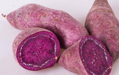 紫薯紫色是花青素么 蚂蚁新村今日答案紫薯
