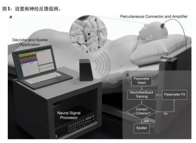 技术获突破！脑机接口将成下一代元宇宙入口 行