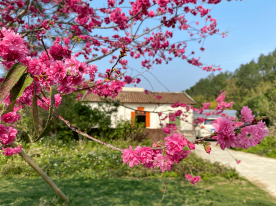 人们常说“老吾老以及人之老,幼吾幼以及人之幼