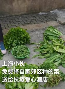 上海小伙薅光奶奶菜地送抗疫酒店 隔离酒店消防