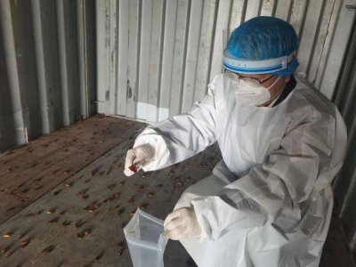 上海跑腿小哥露宿街头日薪过万 你想去吗？