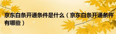 京东白条开通条件是什么 京东白条开通条件有哪