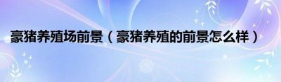 豪猪养殖的前景怎么样 豪猪养殖场前景介绍