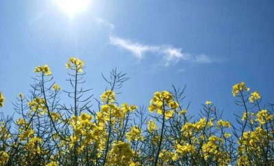 月薪1.4万招不到机械毕业生 招聘会空无一人早被