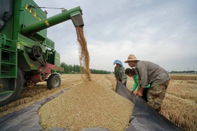 今年夏粮最低收购价全面提高 这是一个非常好的