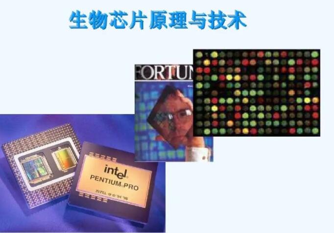 生物芯片原理与技术.jpg
