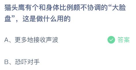 猫头鹰有个和身体比例颇不协调的大脸盘是做什么用的？蚂蚁庄园答案