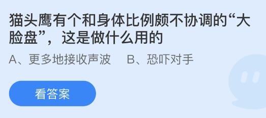 猫头鹰有个和身体比例颇不协调的大脸盘是做什么用的？蚂蚁庄园答案