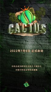 贴近大众的CACTUS,普惠金融的愿景就在不远处