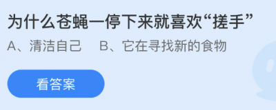 为什么苍蝇一停下来就喜欢“搓手”？蚂蚁庄园