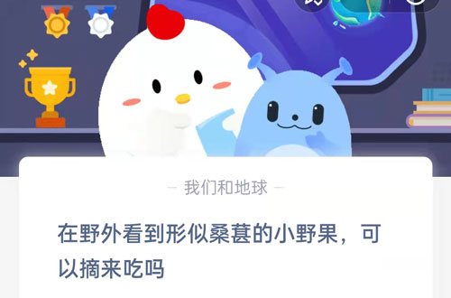 在野外看到形似桑葚的小野果可以摘来吃吗