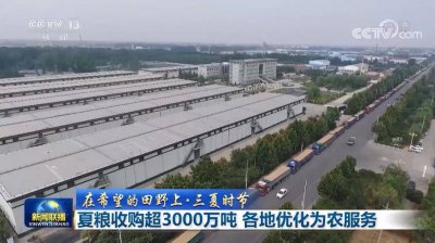 家有余粮,心里不慌！夏粮收购超3000万吨