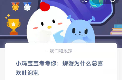 小鸡宝宝考考你，螃蟹为什么总喜欢吐泡泡