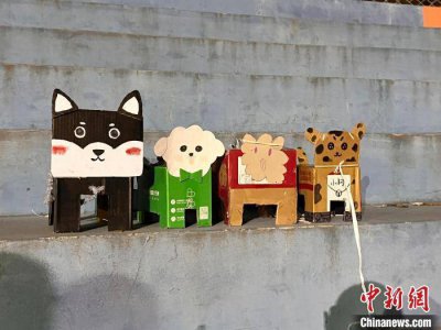 “纸盒狗”风靡中国高校！不仅能放在宿舍门口