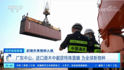 我国首次截获全球新物种 这个新物种是蟑螂！