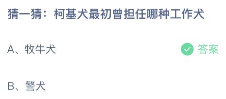柯基犬最初曾担任哪种工作犬？蚂蚁庄园今日答案最新11.23