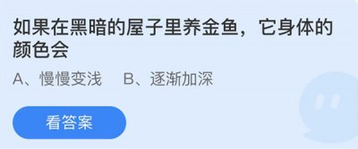 如果在黑暗的屋子里养金鱼它身体的颜色会 蚂蚁