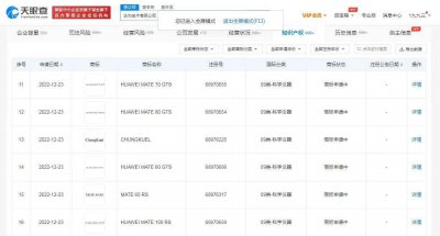 华为申请MATE系列GTS商标，国际分类均为科学仪器