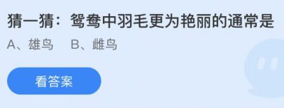 鸳鸯中羽毛更为艳丽的通常是雄鸟还是雌鸟？蚂