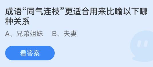 成语同气连枝更适合用来比喻以下哪种关系？蚂蚁庄园2.21答案