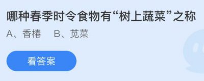 哪种春季时令食物有“树上蔬菜”之称 蚂蚁庄园