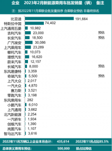 2月新能源汽车销量榜：比亚迪一家