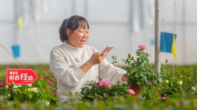 拼多多发布Q4及全年财报：继续重研