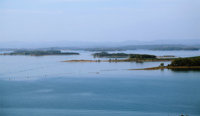 旅游专列助力遂昌老区经济复苏