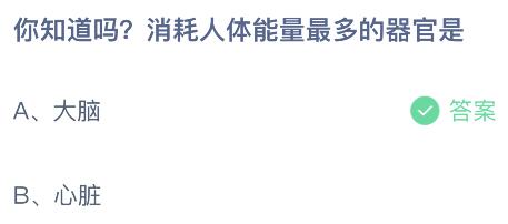 消耗人体能量最多的器官是什么？蚂蚁庄园4.19今日答案      