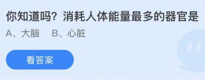 消耗人体能量最多的器官是什么？蚂蚁庄园4月