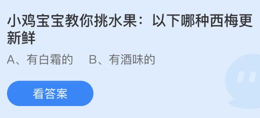 小鸡宝宝教你挑水果：以下哪种西梅更新鲜？蚂蚁庄园5.5今日答案最新