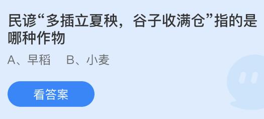 民谚“多插立夏秧谷子收满仓”指的是哪种作物？蚂蚁庄园5月6日小鸡答题最新答案