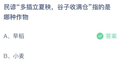 民谚“多插立夏秧谷子收满仓”指的是哪种作物？蚂蚁庄园5月6日小鸡答题最新答案