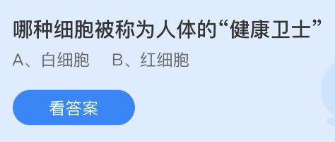 哪种细胞被称为人体的“健康卫士”？蚂蚁庄园5月17日小鸡答题最新答案