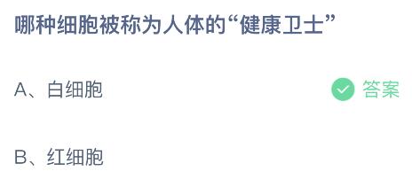 哪种细胞被称为人体的“健康卫士”？蚂蚁庄园5月17日小鸡答题最新答案