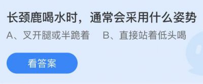 长颈鹿喝水时通常会采用什么姿势？蚂蚁庄园5