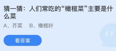 人们常吃的橄榄菜主要是什么菜？蚂蚁庄园5月