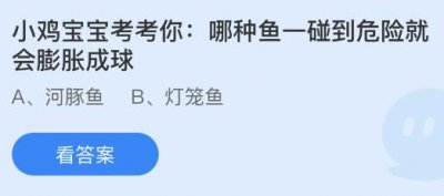 哪种鱼一碰到危险就会膨胀成球？蚂蚁庄园5月