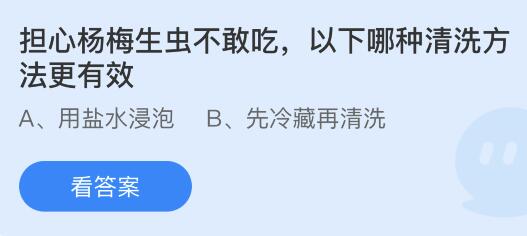 担心杨梅生虫不敢吃以下哪种清洗方法更有效？蚂蚁庄园5.30今日答案最新