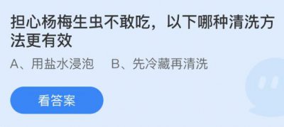 担心杨梅生虫不敢吃以下哪种清洗方法更有效？