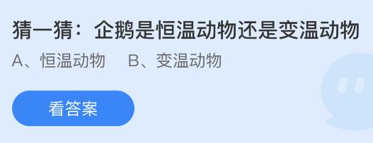 企鹅是恒温动物还是变温动物？蚂蚁庄园6.8今日答案最新