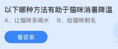 以下哪种方法有助于猫咪消暑降温？蚂蚁庄园6月