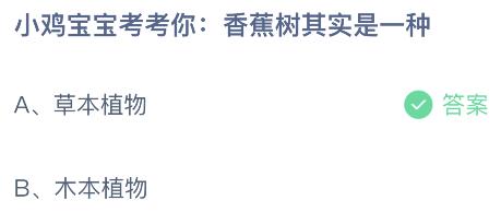 香蕉树其实是一种什么植物？蚂蚁庄园小鸡课堂最新答案6月30日