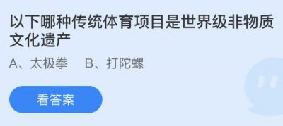 以下哪种传统体育项目是世界级非物质文化遗产